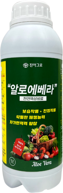 알로에베라 일소 냉해 방지 뿌리발근 1L, 1개