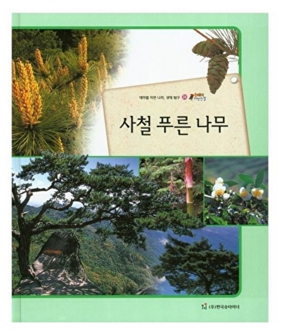 웅진북센 사철 푸른 나무 테마별 자연 나라 생태 탐구, 한국슈타이너(D), 편집부, 없음
