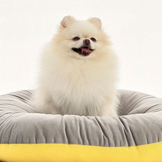 [펫어펫] 강아지 방석 애견 고양이 극세사 매쉬 양면 워셔블 방석 쿠션, 쿨민트, 1개