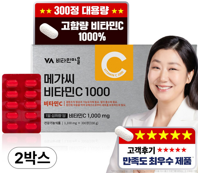 비타민마을 고함량 메가씨 비타민C 1000mg, 2박스, 300정