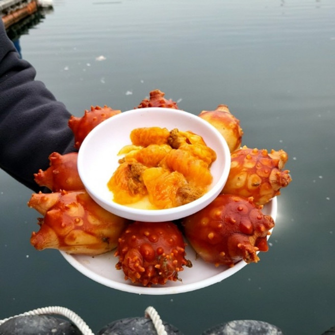 조업 국내산 활 멍게 3kg, 1개, 3키로