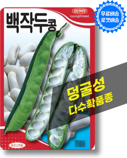 작두콩 씨앗 (10립) 덩굴성 콩 씨앗 씨 종자, 1개