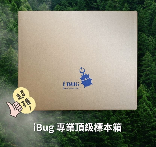 iBug 專業頂級樣本箱 手工實木烤漆 台灣製造, 1個