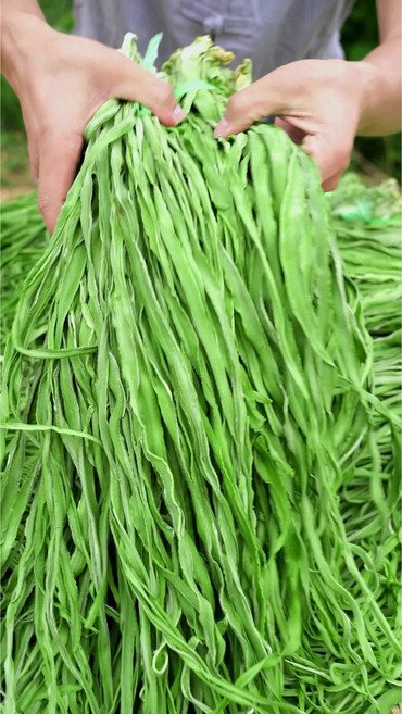 마른궁채 도 소매 벌크 궁채 건조궁채 벌크 궁채 식자재궁채, 1박스, 10kg