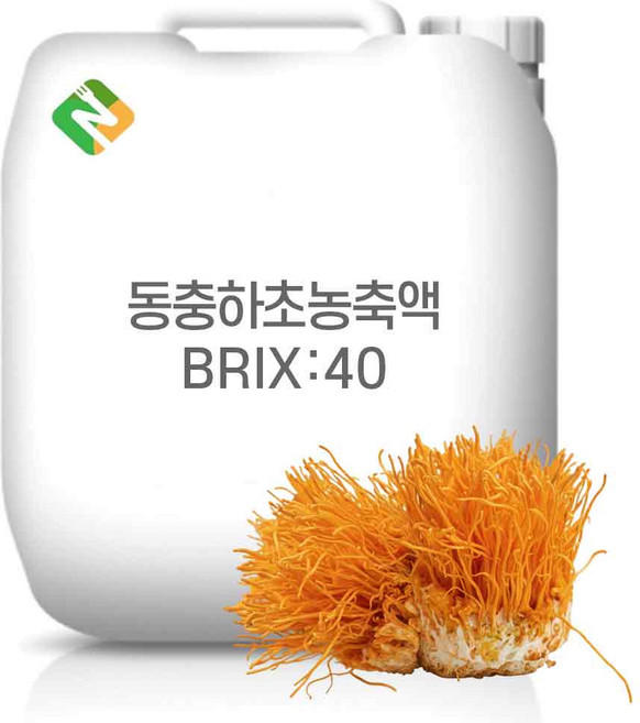 동충하초농축액 40Brix 20kg, 1개