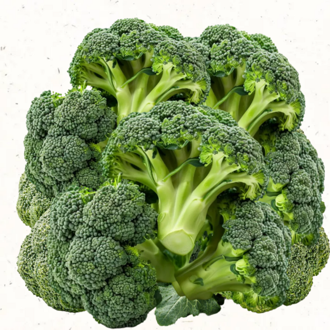 친환경 로컬푸드 브로콜리 특품 신선채소, 2kg, 1개