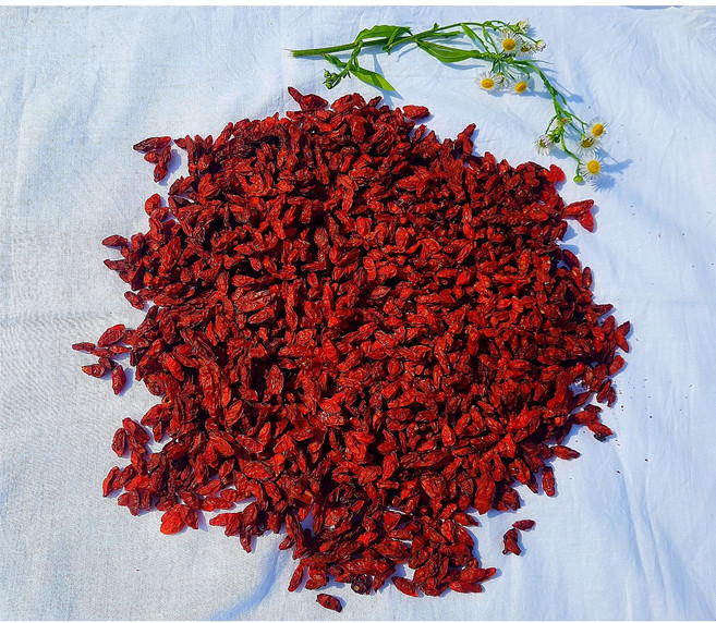 국내산 청양 친환경 유기농 건구기자 말린 햇 구기자 300g 국산 생산자조합직판