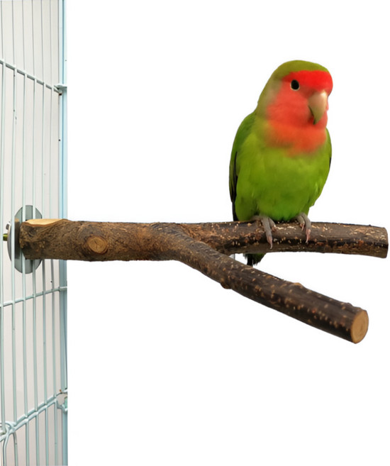 패럿토피아 앵무새 자연목 횃대 발톱갈이 장난감, 1개, 혼합색상 - 15cm