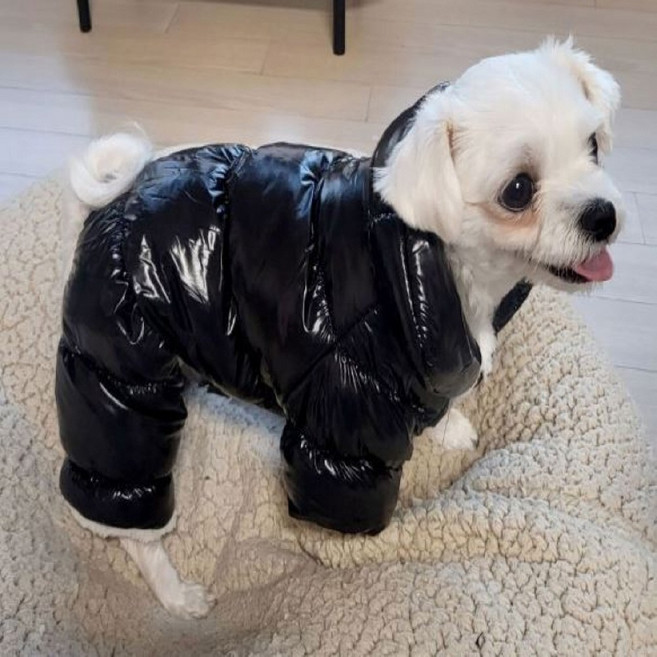 강아지패딩 따뜻한 애견 겨울옷 점퍼 유광 보온 편한 털옷 깔깔이 경량, 1개