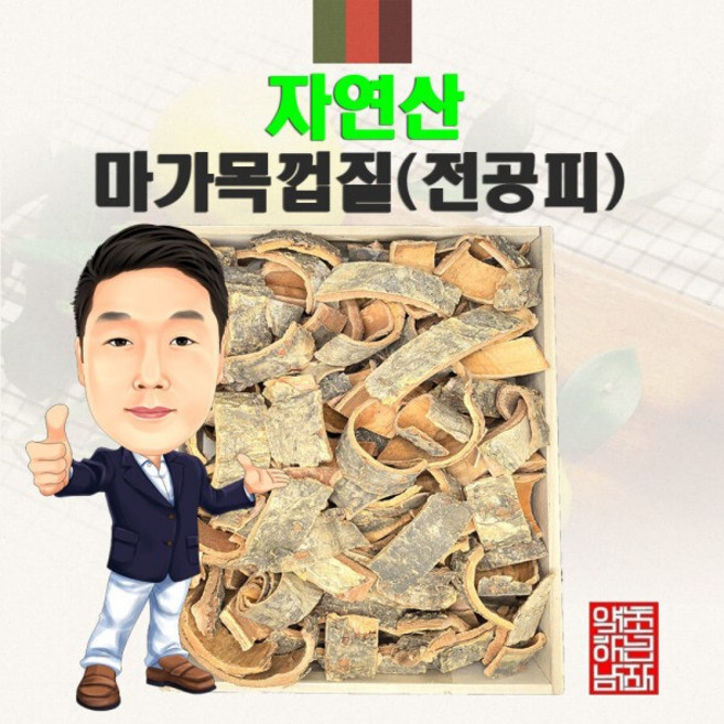 자연산 마가목껍질(정공피) 100g (경북 영천) 야생 국내산 국산, 1개