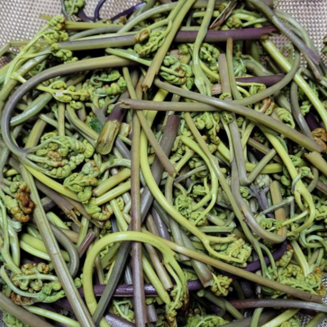 제주도 고사리 데친 고사리 냉동, 1개, 1kg