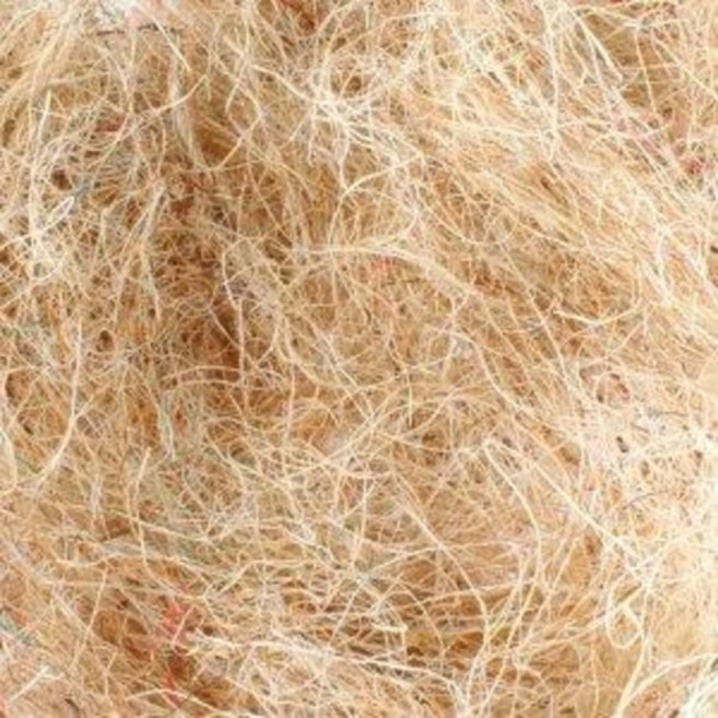 퀴코 둥지풀 알통 새장꾸미기 야자풀 사이잘, 1개, 네추럴(컷팅)