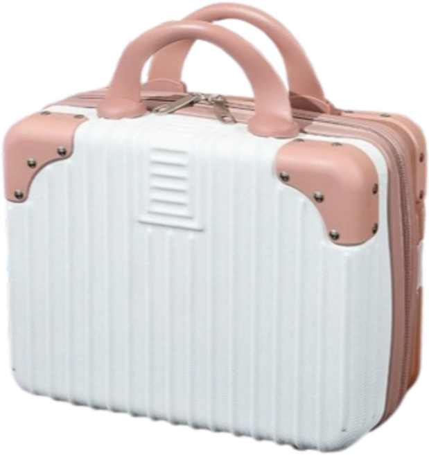 바이이레 레디백 미니 캐리어