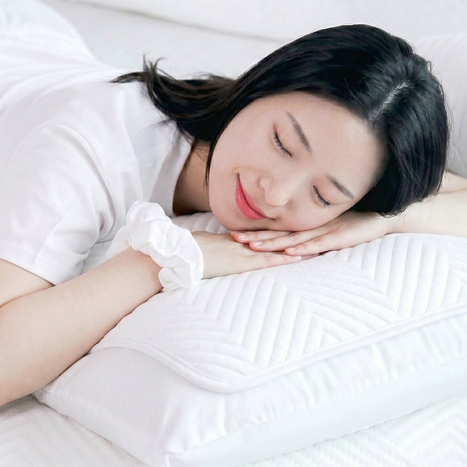 아추추 여름 냉감 쿨 베개커버 50x70 쯔누가 스노렌 100% 아이스 밴드형 쿠션 1+1