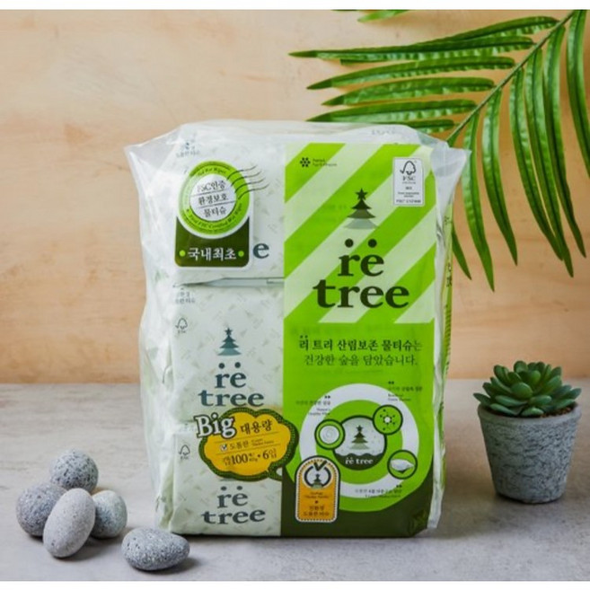 더도톰한 리트리 물티슈(캡) 100매6입, 100매, 6입