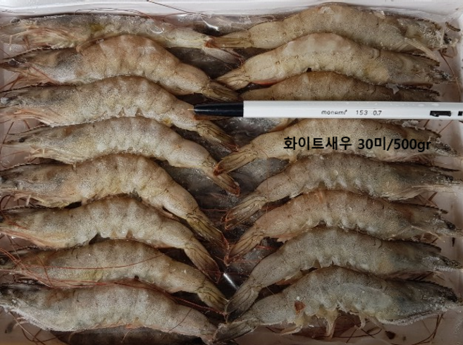 프라임새우, 30미(화이트새우)