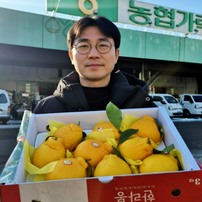 [프리미엄 한라봉] 가락시장 직송 제주 한라봉 고당도, 1개, 3kg(9-14과)