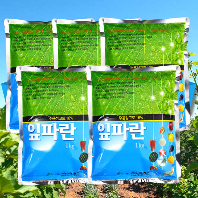 황산고토 마그네슘비료 수용성 고토비료 소용량 황산마그네슘 황산마그네슘고토 광합성 엽록소 촉진 엽면시비 잎파란, 1kg, 5개