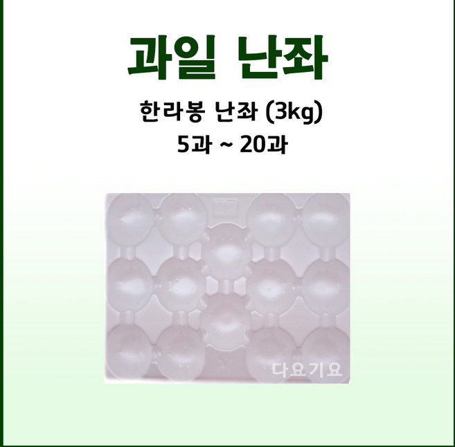 과일망 포장지 완충제 과일포장재 한라봉 3kg 난좌, 13과, 50개, 한라봉 3kg 난좌 화이트