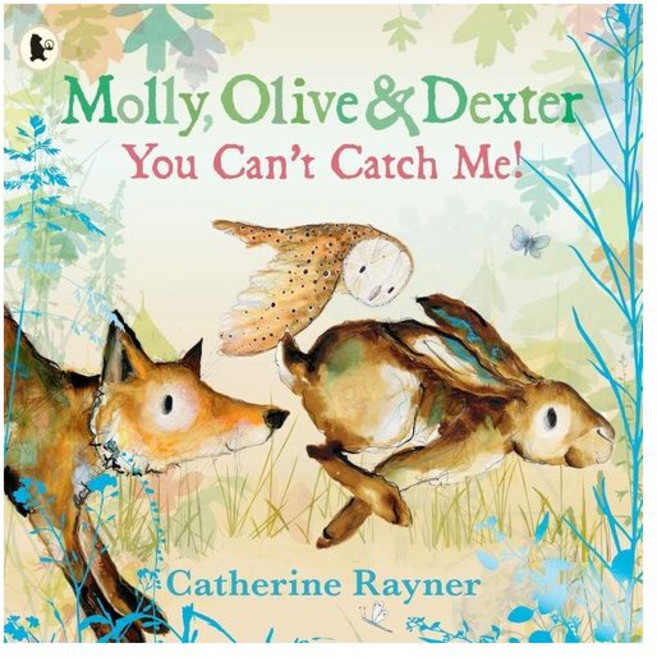 영문 영어 유아 도서 Molly Olive & Dexter: You Can't Catch Me! Paperback 영국판 1859711, 영문 영어 유아 도서 Molly Olive & Dext