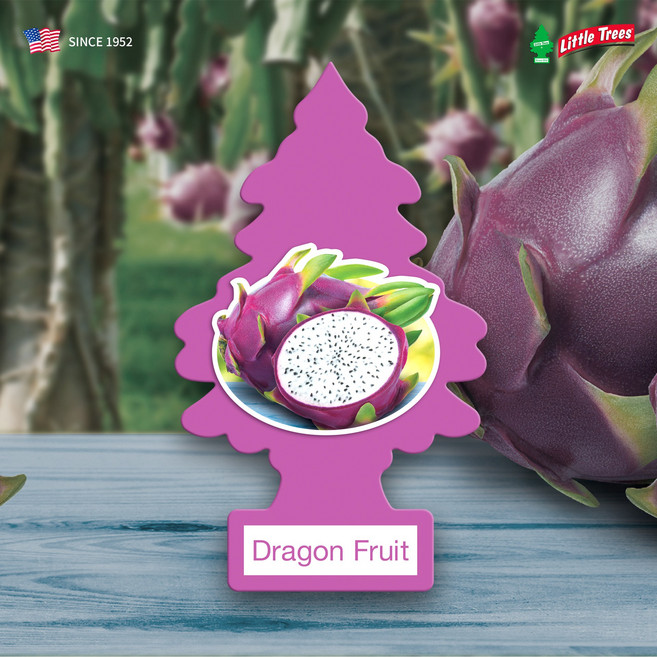 리틀트리 차량용 자동차 종이 실내 방향제, 드래곤프룻, 2개