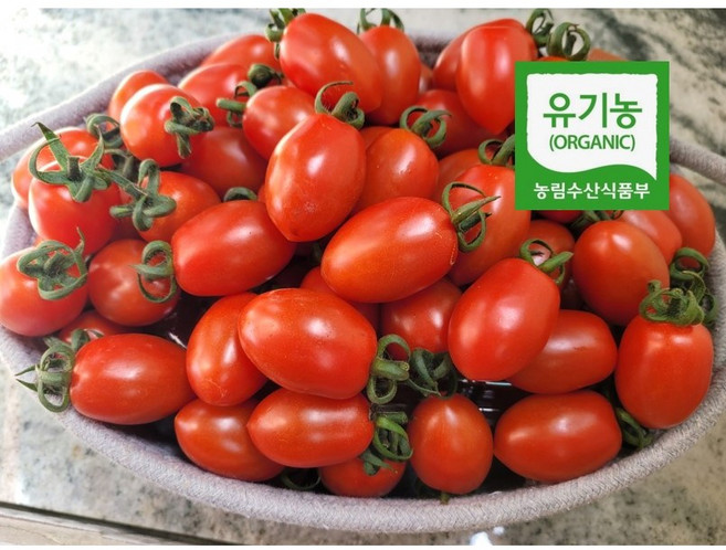 산지직송 달콤한 유기농대추방울토마토 방울토마토2kg 3kg 4kg 5kg, 1박스, 유기농대추방울토마토3kg