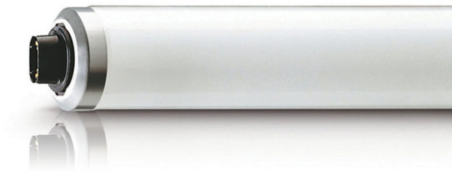 필립스 자외선 UV-B TL100W 01 피부 의료용 램프 (10개묶음판매)