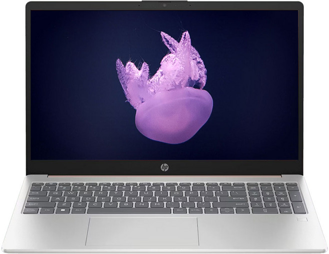 HP 2025 노트북 15 라이젠5 라이젠 7000 시리즈, Natural Silver, 256GB, 8GB, WIN11 Home, 15-fc1058AU