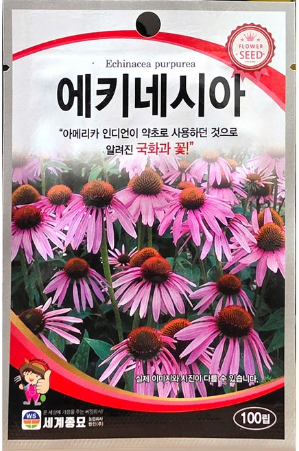 세인화분 에키네시아 100립 - 허브씨앗 - 쿠팡