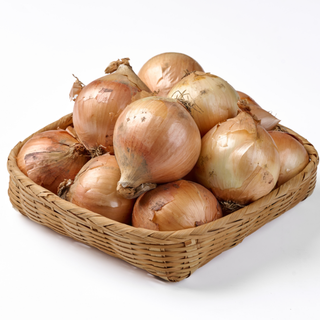 산들담 26년 햇양파, 1개, 햇양파 10kg / 특