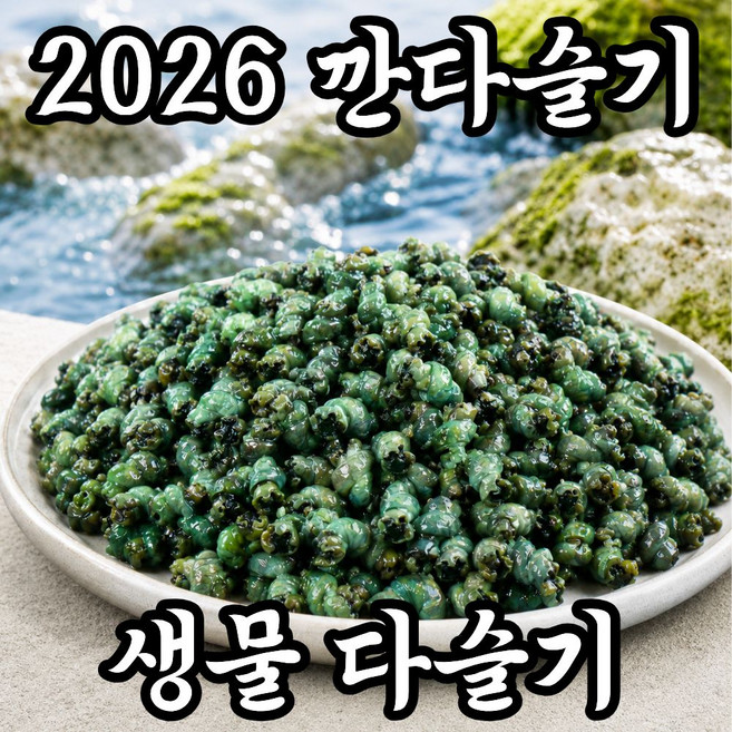 [2026년] 강원도 깐다슬기 자연산 올갱이, 1개, 400g