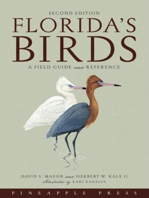(영문도서) Florida's Birds: A Field Guide and Reference Paperback, Pineapple Press, English, 9781561643356