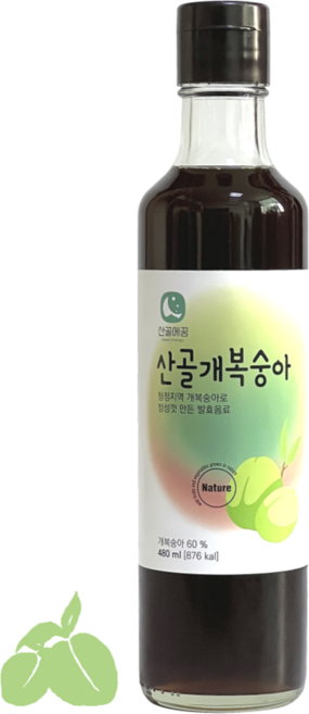방주명가 5년숙성 산골 개복숭아청, 1개, 480ml