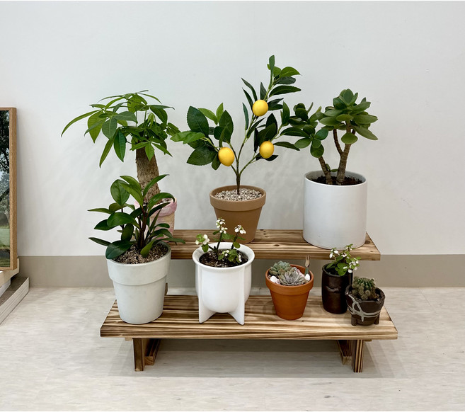 원목 화분진열대 정리대 선반 다육이진열대 거실 베란다 정리대 틈새 수납 받침대, 2단 소, 원목 진열대, 2단