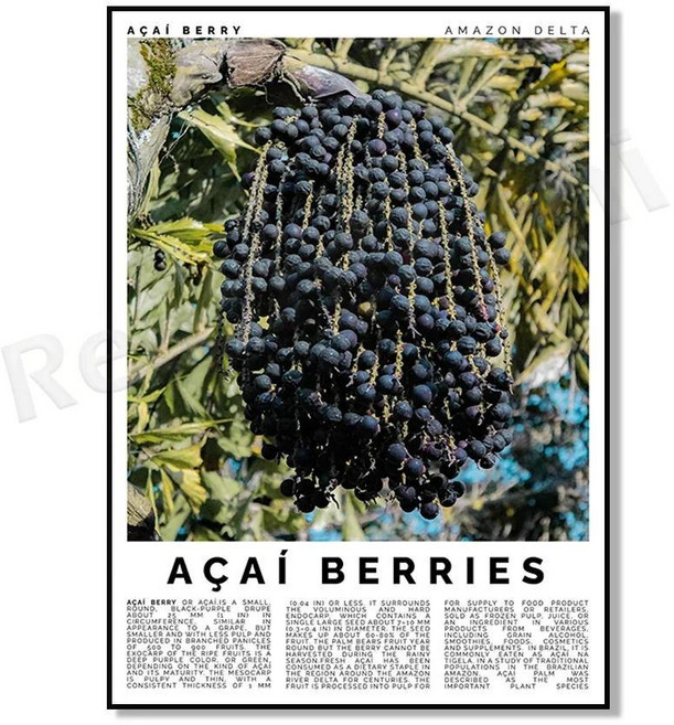 리치 아카이 과라나 수박 자보 두리안 람부탄 망고스틴 구아바 바나나 사과 과일 장식 주방 포스터, 1개, 14. 12 / F. 60x80cm Canvas