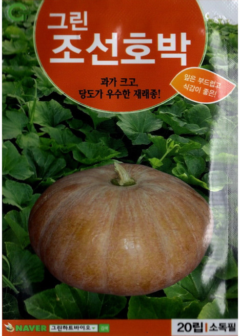 (씨앗) 조선호박 - 잎이 맛있는 재래종 호박 씨앗 종자 - 20립, 1개