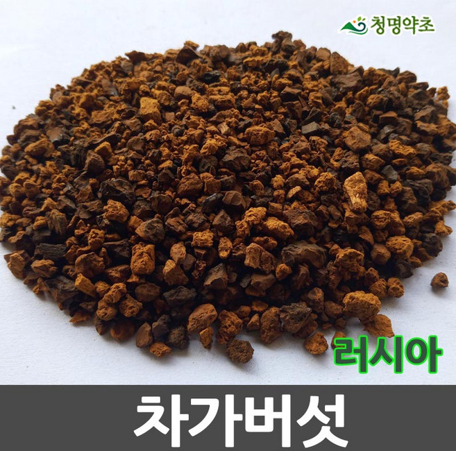 차기버섯(300g)-러시아3개, 3개, 300g