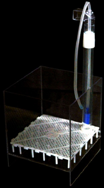 미미네아쿠아 아크릴 박스 저면여과기 (3T), 1W, 1개