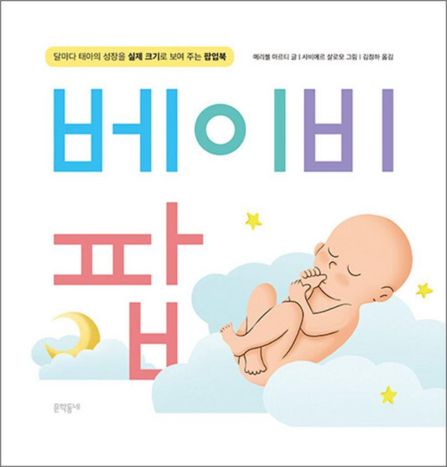 책광장모두북 베이비 팝 달마다 태아의 성장을 실제 크기로 보여 주는 팝업북, 문학동네, 메리첼 마르티, 9788954688086