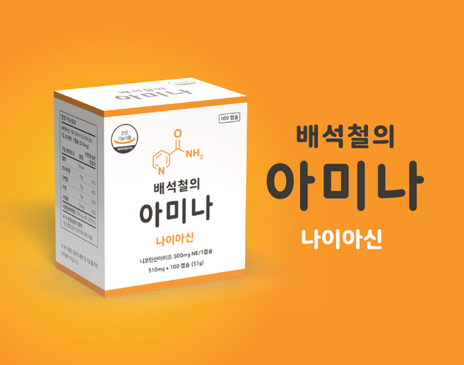 [PTP 개별포장] 배석철의 아미나 고용량 비타민B3 미국산 나이아신아마이드 500mg, 1개, 100정