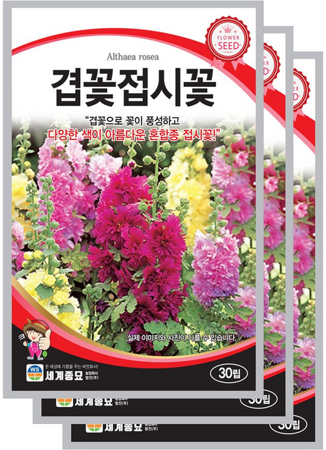 겹꽃접시꽃 씨앗 30립 꽃씨앗 세계종묘 모칸도, 3개