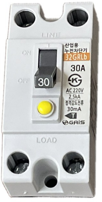 가이스산전 누전차단기 산업용 2P30A (2.5ka) 공장 분전함용 배선용품 사무실 누전방지 차단스위치 감전방지 전원장치 국산 과부하겸용 전기누전공사 주택용, 1개
