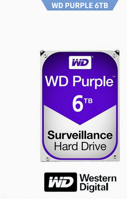 FXT WD PURPLE 6TB HDD