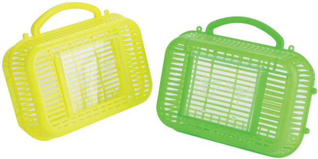 나리아 2000 곤충 채집통, 그린, 1개