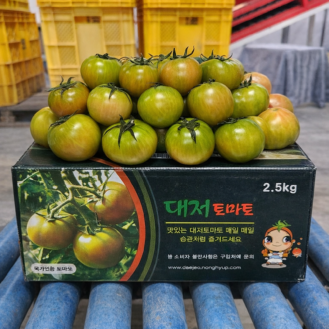 [재입고특가] 짭짤이 대저토마토 특품 초고당도, 1박스, 대저토마토2.5kg(L~2L)