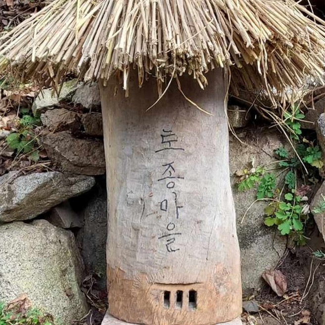 강원도 양구 자연산 천연토종꿀 2.4kg, 1개