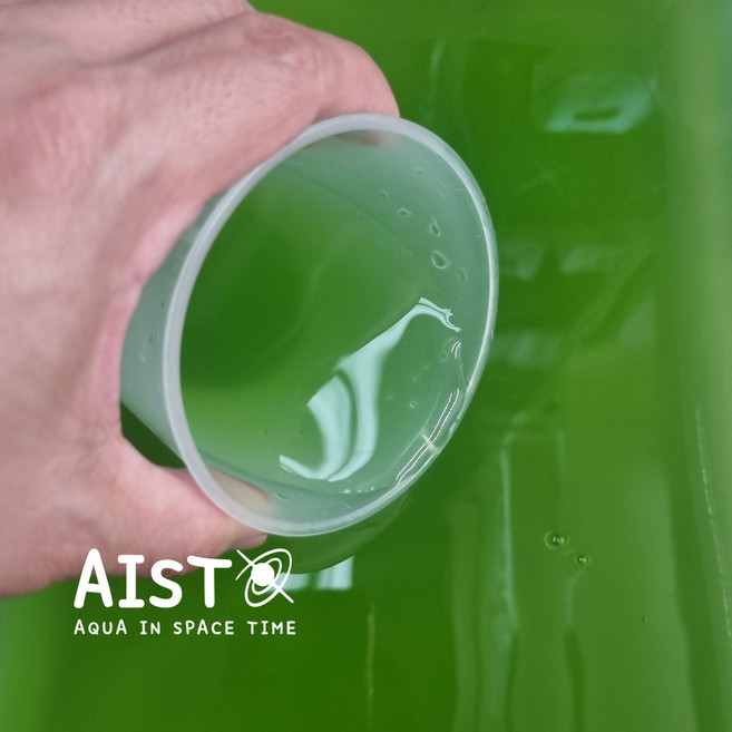 청수(생클로렐라) 400ml 1개 그린워터 식물성 플랑크톤 수중생물 생태환경조성 물벼룩 로티퍼(담수용) 먹이 액체비료 광합성 관찰생물 실험