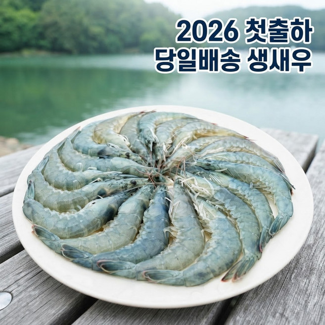 [싱싱새우] 국내산 활새우 흰다리새우 단맛 오른 제철 생물 새우, 1kg 30미 내외, 1개