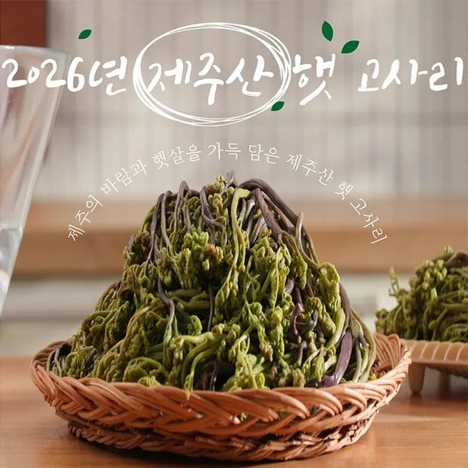 제주 햇 고사리, 10개, 150g
