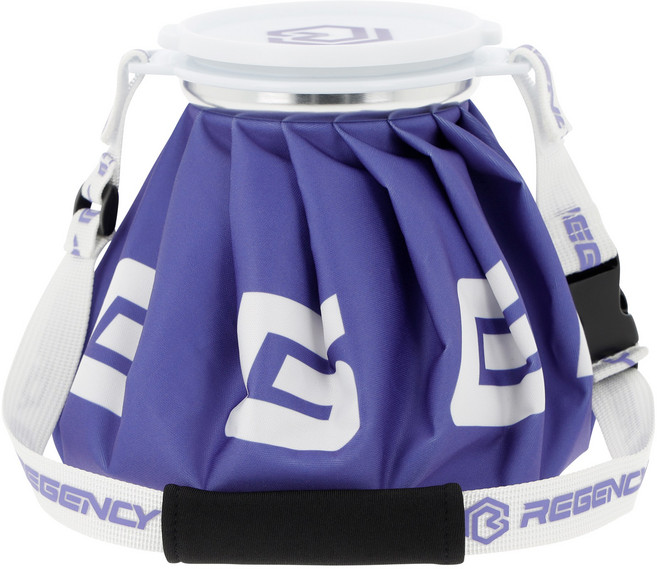 리젠시 프리미엄 골프 얼음주머니 물방울 안맺히는 결로방지 아이스팩 대형, 아이스퍼플, 1개